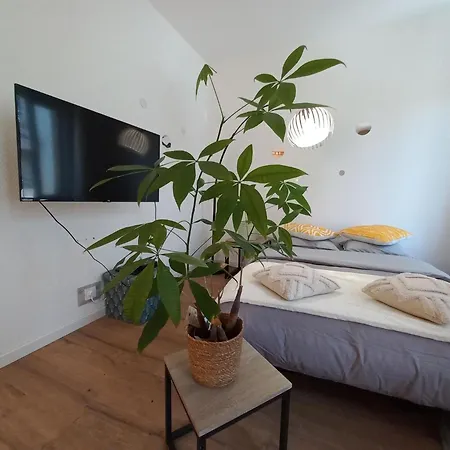 Charming Duplex In Heart Of Appartement Mulhouse